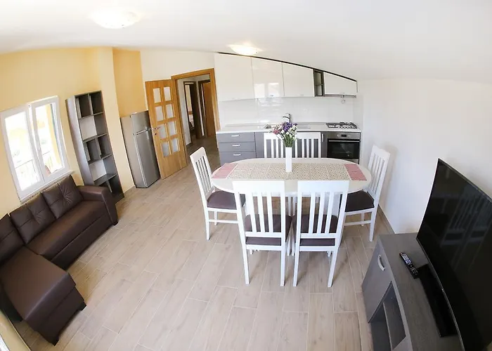 Zvizda * Ζαντάρ